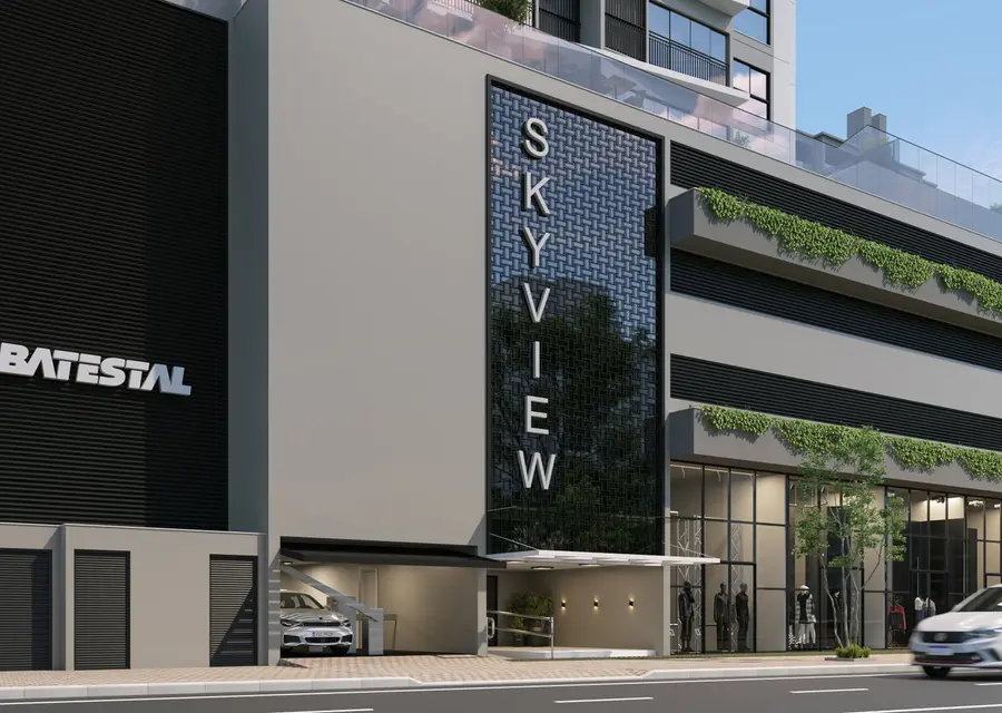 Skyview 100 — imagem 1